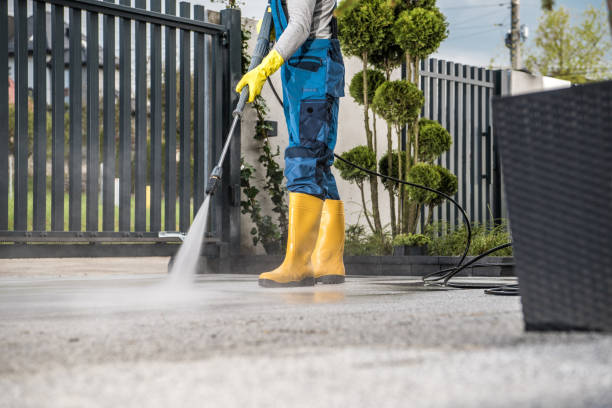 Solar Panel Cleaning in Newport, WA